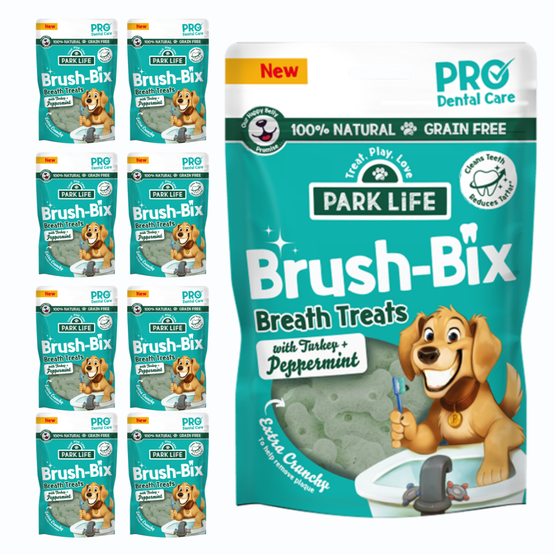 Brush-Bix Hundekekse mit Truthahn und Pfefferminz 100 g